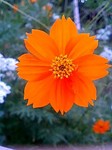 100824_1726_0001.jpg
